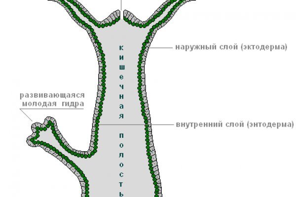 Ссылка на кракен официальный