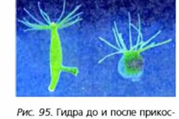 Кракен официальный сайт 2krnk cc